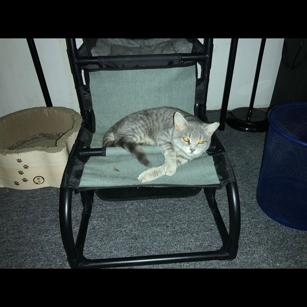 Test - Picture 3 of 4